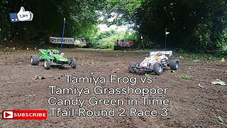 Tamiya Frog vs Tamiya Grasshopper Candy Green in Time Trail Round 2 Race 3 [upl. by Ion]