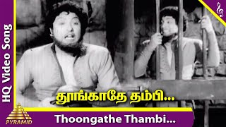 Thoongathe Thambi Video Song  Nadodi Mannan Movie Songs  MGR  Saroja Devi  Bhanumathi  Nambiar [upl. by Nehepts400]