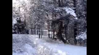 REEFER CONTAINER CABIN HOME IN THE OKANOGAN HIGHLANDS IN JANUARY  4 OF 4 WALK 2 [upl. by Kele]