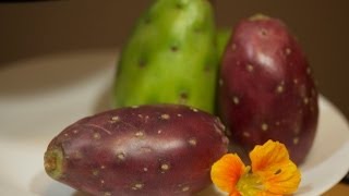 When Is It Ripe Cactus Pears [upl. by Bullard69]