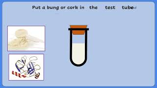 AQA A LEVEL BIOLOGY  REQUIRED PRACTICAL 1 ENZYME CONTROLLED REACTION [upl. by Kelwin604]