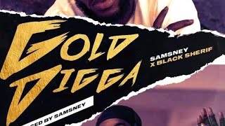 Black Sheriff  GOLD DIGGA LYRICS VIDEO [upl. by Isiad480]