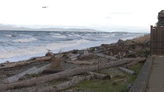 QUALICUM BEACH WAVES [upl. by Schatz893]