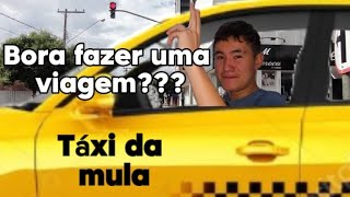 Abandonei meu canal para virar um taxista quotprofissional 🤣🤣quot [upl. by Maxma336]