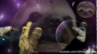 Sloths in space 10 hours [upl. by Perrins]