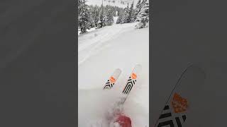 INSANE POWDER SKIING 😁 ❄️ [upl. by Yellhsa]