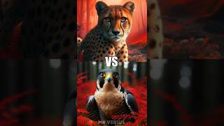 Cheetah Vs Peregrine Falcon trending animals peregrinefalcon cheetah animal speed shorts [upl. by Filberto]