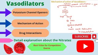 Vasodilatorspharmacology cardiovascular pharmacology  pharmacology cvspharmacology medicine [upl. by Nita]