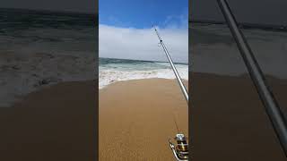 Monterey CA fishing [upl. by Hayouqes]