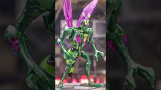 Transformers Animated WaspinatorNa H60W Mimic transformation transformers [upl. by Siduhey]