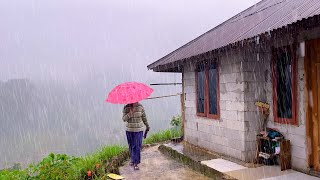 HEAVY RAIN IN BEAUTIFUL HILLY VILLAGE  HEAVY RAIN AND STRONG THUNDER SOUNDS [upl. by Anihc]