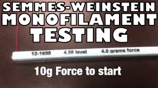 How to Perform the Semmes Weinstein Monofilament Test  Ohio University  Anatomy [upl. by Walke]