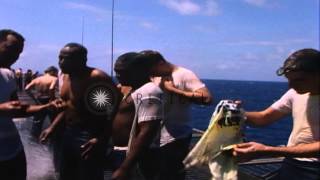 Pollywogs crawling along on their hands and knees on flight deck of USS EnterprisHD Stock Footage [upl. by Ellehs]