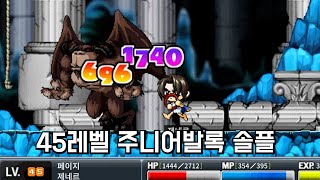 메이플랜드 Lv45 페이지 주니어발록 잡기 [upl. by Esirahc]