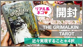 【開封】THE GRIMALKIN TAROT🐱近々実現すること＊4択プチリーディング【魔力を秘めてそうな美しい猫デッキ】 [upl. by Wobniar]