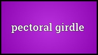 Pectoral girdle Meaning [upl. by Oicul]