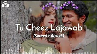 Tu Cheez Lajawab slowed and reverb [upl. by Proffitt]