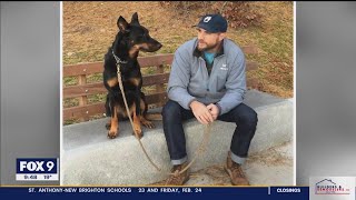 Minnesota Twins spotlight Bowie Baldelli K9 companion I KMSP FOX 9 [upl. by Annahgiel]