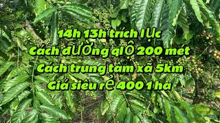 📕13 ha cà phê trích lục khuyến mãi thêm 10 mét mặt tiền sổ đỏ ngay TT xã quảng Phú ka rong nô 205 [upl. by Nolrah]