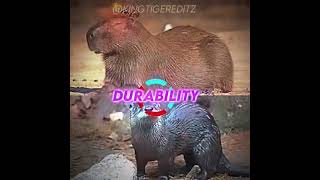 River otter vs Capybara edit legendarybattle [upl. by Retseh]