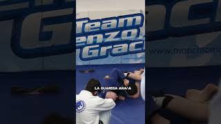 Danaher  Gi vs Nogi [upl. by Lancelot423]