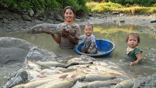 How to catch giant fish ponds and sell them at the market with your children [upl. by Hahsi]