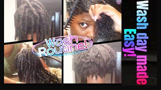 I MADE MY WASHDAY EASY naturalhaircare washroutine [upl. by Vanna]