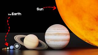 How big is the Solar System  3d Animation Comparison [upl. by Eireva]