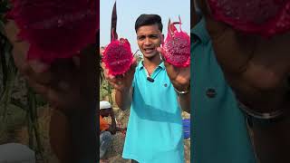 Dragon Fruit cutting shorts farming minivlog aftabvlog shortvideo agriculture aftabshaikh [upl. by Laius]