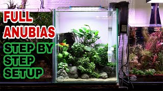 ‼️Aquascape Nano Tank Full Anubias 😀 [upl. by Enier342]