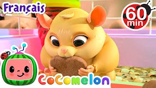 Jelly Bean le hamster  CoComelonFrancais  Dessin Animé [upl. by Areic]