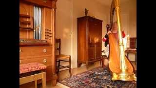 Regina Ederveen classical harpist plays Mazurka by Edmund Schuëcker on harpMOV [upl. by Hesoj]