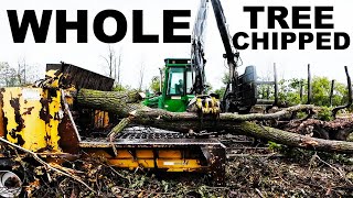 525 HP WOOD CHIPPER  SHREDS 26quot WHOLE TREES AT ONCE [upl. by Chauncey]