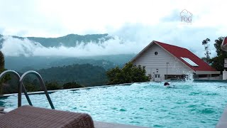 Fog Resort amp Spa Munnar Best Family Resort in Munnar [upl. by Hanae]