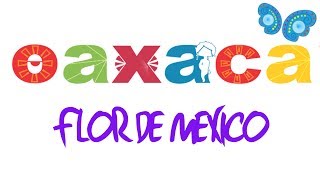 Oaxaca  flor De Mexico [upl. by Godred384]