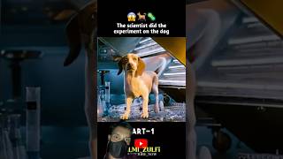 Dog Exprimant🤯😱 shots movie dog movieexplained as [upl. by Ahsile]