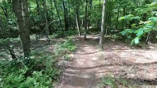 Easy mountain biking at Cedarville State Forest in Maryland [upl. by Enialehs]