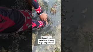 Ganito pa la hinuhuli ang peanut worm buhayprobinsya seafood [upl. by Orutra]