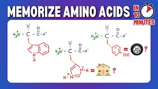 Memorize and Draw the 20 Amino Acids [upl. by Rebmit790]