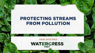 Protecting Streams – Watercress Fest Panel [upl. by Myrtia]