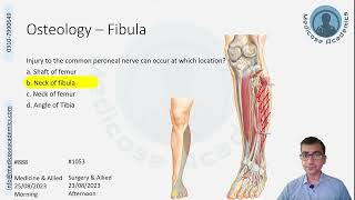 Lower Limb Question Discussion August November 2023 attempt [upl. by Olegnaleahcim162]