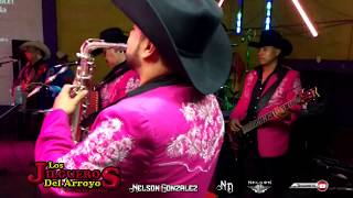 Los Jilgueros Del Arroyo • Tu Amor Y Mi Amor • En Vivo Chihuahua 2015 [upl. by Nahshon]