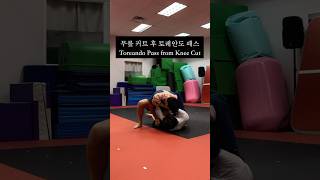 🛡️ 가드를 뚫어라 니 컷 후 토레안도 패스Toreando Pass from Knee Cut 주짓수 bjj toreandopass 아재떼로 [upl. by Bridget]