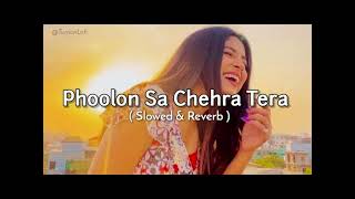 phoolon sa chehra tera old song new version Bylofi boys Lofiboys089 [upl. by Sorel122]