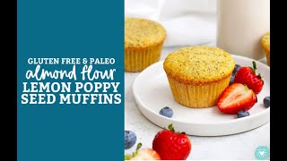 Lemon Poppy Seed Muffins Gluten Free Paleo [upl. by Whitehurst]