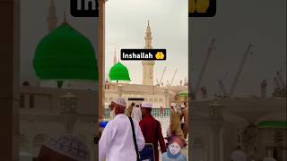 Roza e Rasool SAW View ❤️  Part 56 rozaerasool madina [upl. by Lledor75]