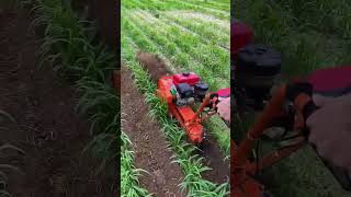 Trencher tiller ditching and soiling machine agricultural machinery hole gate play out flowe [upl. by Netsirhc]