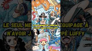 Qui est le seul membre de l’équipage à n’avoir jamais tapé Luffy  onepiece anime manga luffy [upl. by Enelloc]