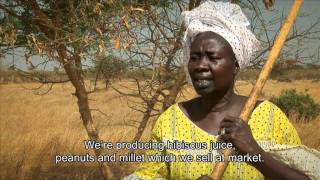 Turning the tide on desertification in Africa 7min43sec version [upl. by Nosnhoj326]