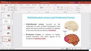 Lec 8  Anatomy  Dr Ayman   Limbic System [upl. by Gav]